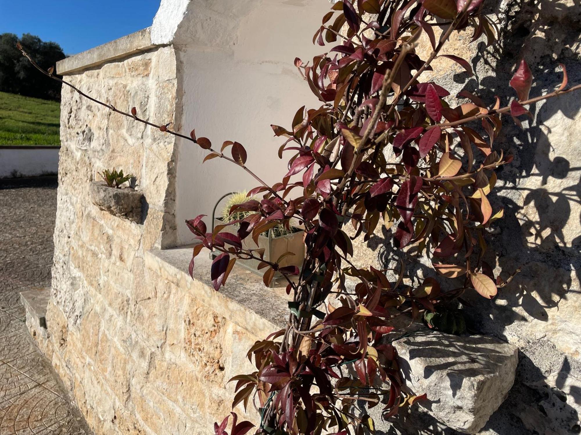 Trulli Del Sole Villa Martina Franca Buitenkant foto