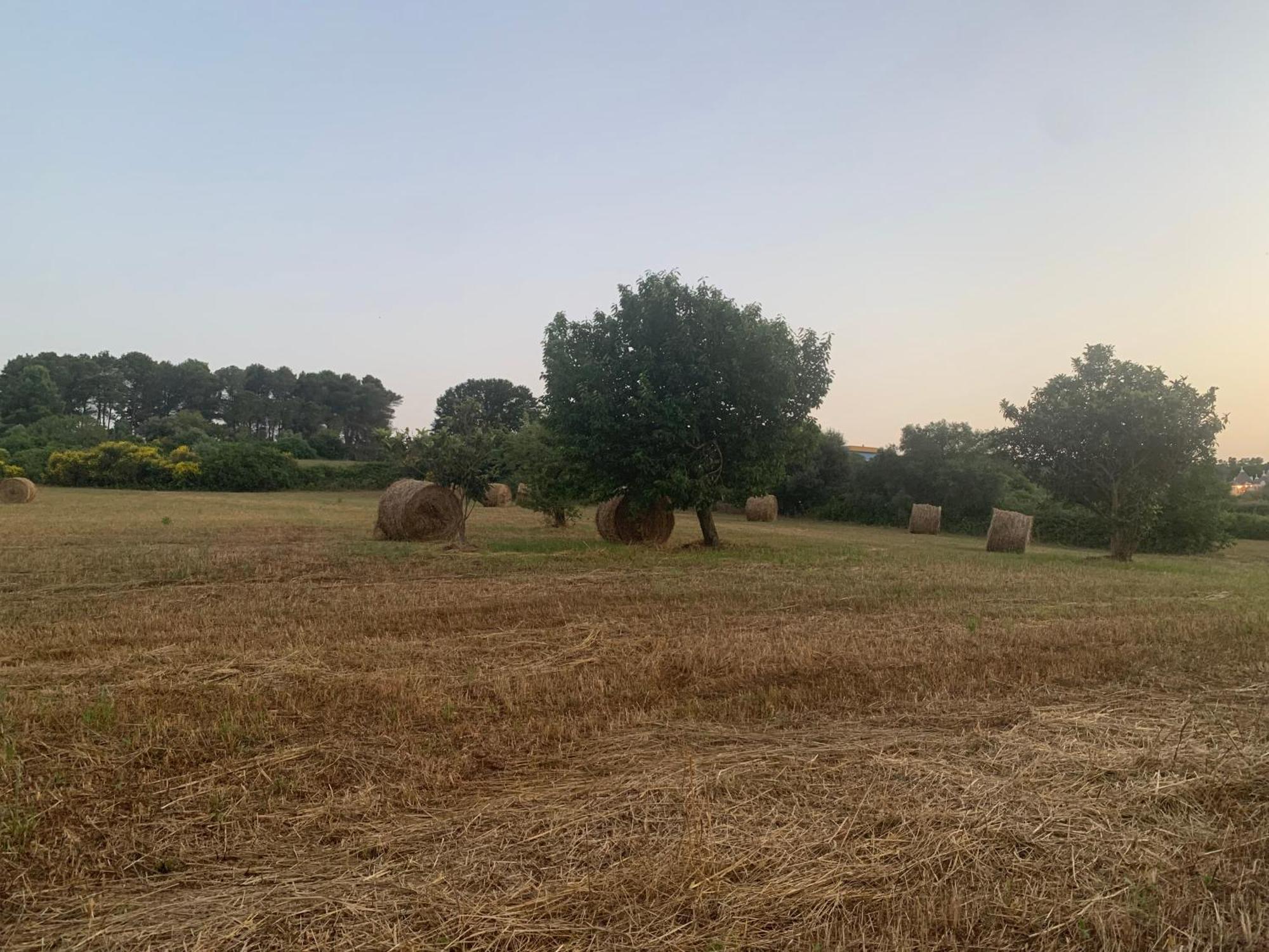 Trulli Del Sole Villa Martina Franca Buitenkant foto